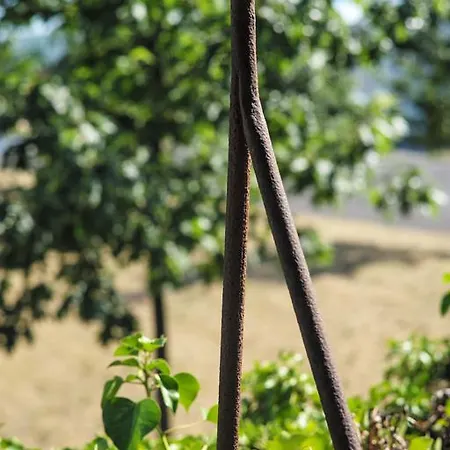 Nocleg ze śniadaniem Au Bois Briand